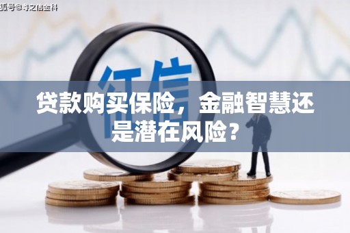 鸡东贷款购买保险，金融智慧还是潜在风险？