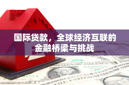鸡东国际贷款，全球经济互联的金融桥梁与挑战