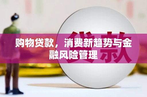 鸡东购物贷款，消费新趋势与金融风险管理