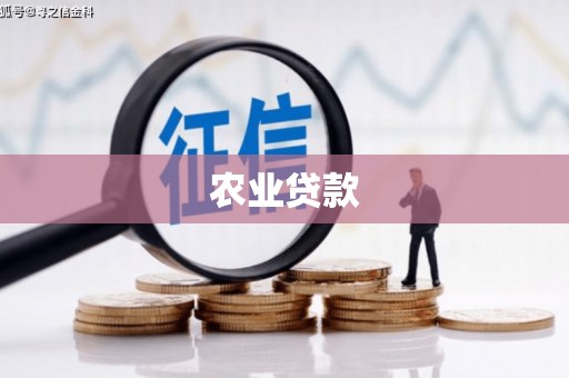 鸡东农业贷款