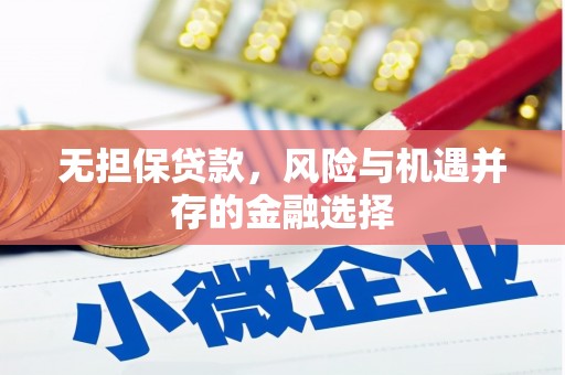 鸡东无担保贷款，风险与机遇并存的金融选择