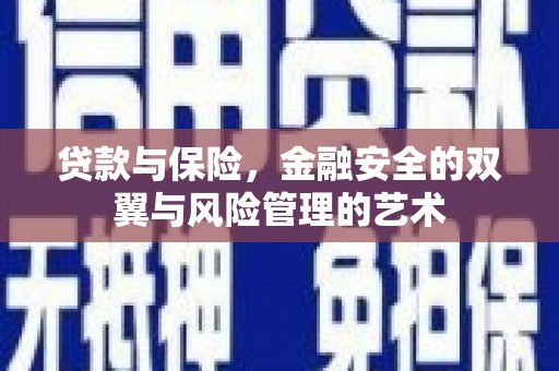 鸡东贷款与保险，金融安全的双翼与风险管理的艺术