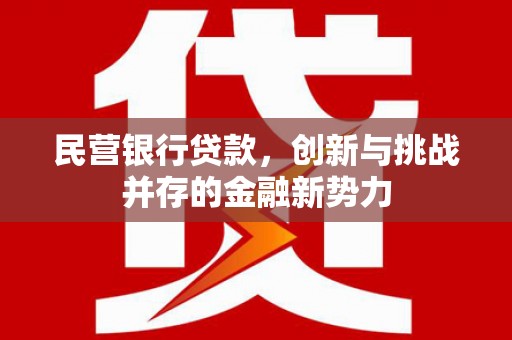 鸡东民营银行贷款，创新与挑战并存的金融新势力