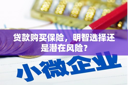 鸡东贷款购买保险，明智选择还是潜在风险？