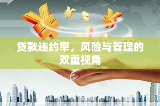 鸡东贷款违约率，风险与管理的双重视角