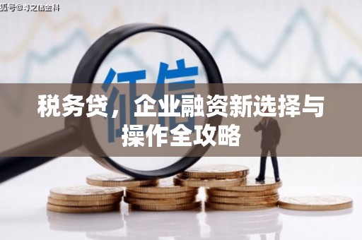 鸡东税务贷，企业融资新选择与操作全攻略