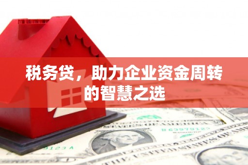 鸡东税务贷，助力企业资金周转的智慧之选