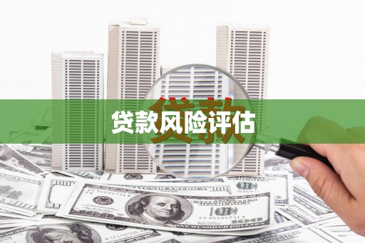 鸡东贷款风险评估