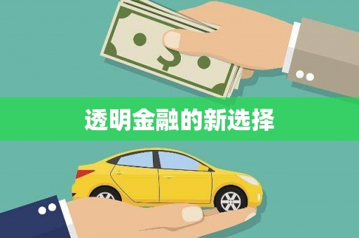 鸡东透明金融的新选择