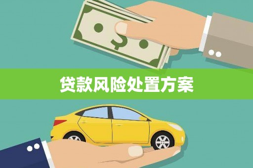 鸡东贷款风险处置方案