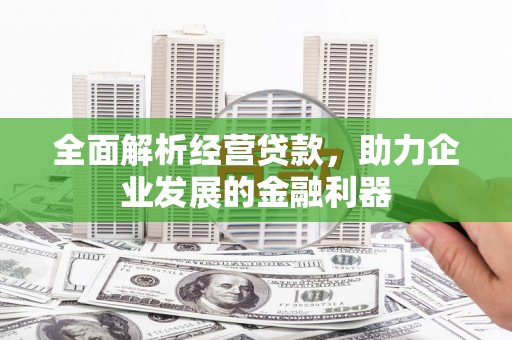 鸡东全面解析经营贷款，助力企业发展的金融利器