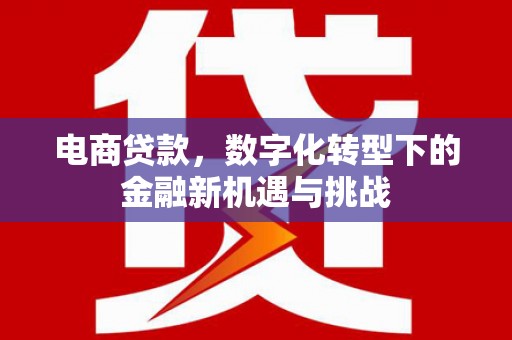 鸡东电商贷款，数字化转型下的金融新机遇与挑战