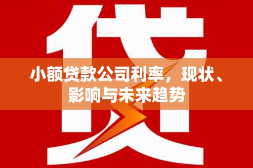 鸡东小额贷款公司利率，现状、影响与未来趋势