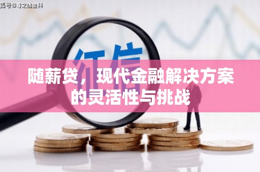 鸡东随薪贷，现代金融解决方案的灵活性与挑战