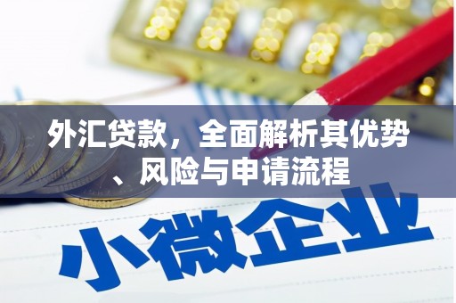 鸡东外汇贷款，全面解析其优势、风险与申请流程
