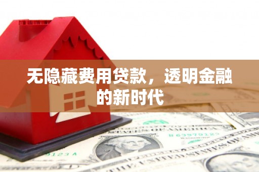 鸡东无隐藏费用贷款，透明金融的新时代
