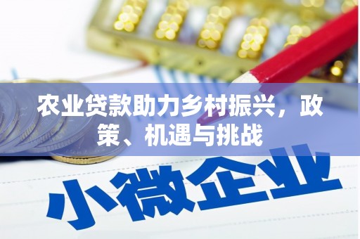 鸡东农业贷款助力乡村振兴，政策、机遇与挑战