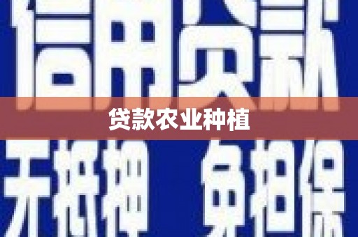 鸡东贷款农业种植