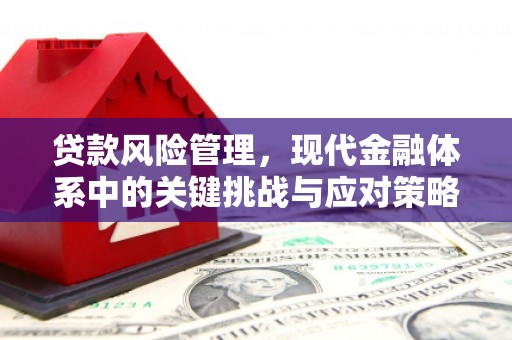 鸡东贷款风险管理，现代金融体系中的关键挑战与应对策略