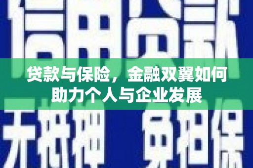 鸡东贷款与保险，金融双翼如何助力个人与企业发展