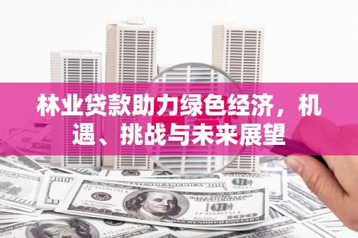 鸡东林业贷款助力绿色经济，机遇、挑战与未来展望