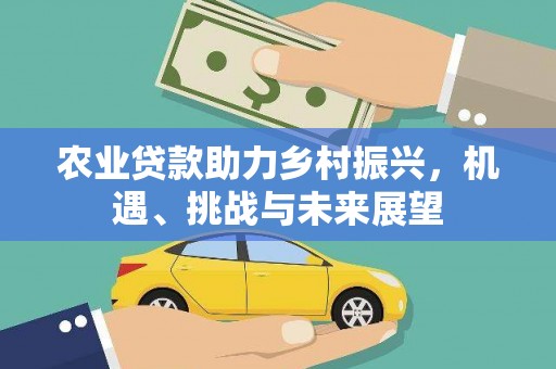 鸡东农业贷款助力乡村振兴，机遇、挑战与未来展望