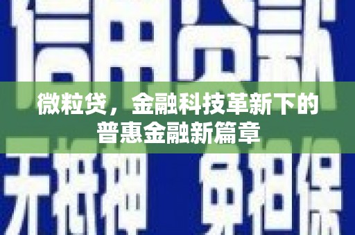 鸡东微粒贷，金融科技革新下的普惠金融新篇章
