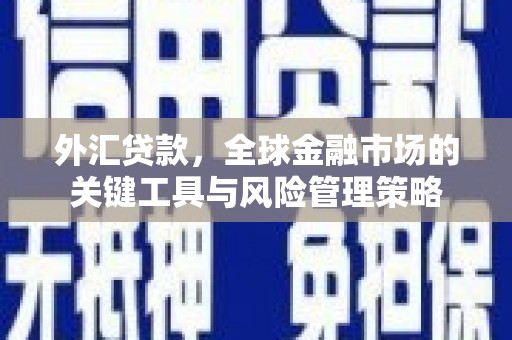 鸡东外汇贷款，全球金融市场的关键工具与风险管理策略