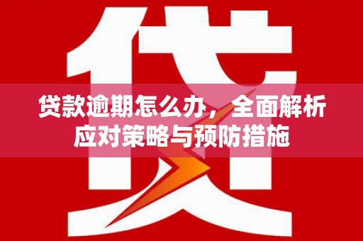 鸡东贷款逾期怎么办，全面解析应对策略与预防措施