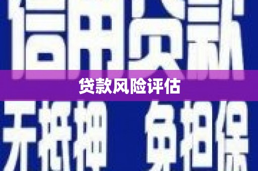 鸡东贷款风险评估