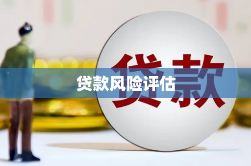 鸡东贷款风险评估