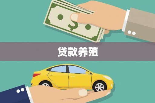 鸡东贷款养殖