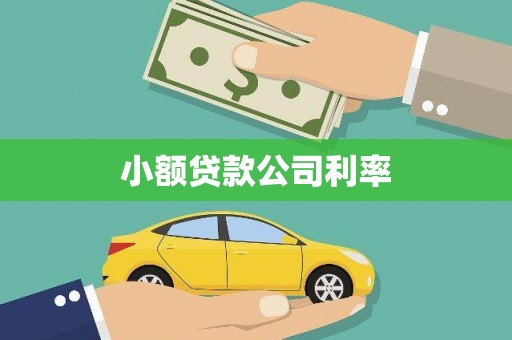 鸡东小额贷款公司利率