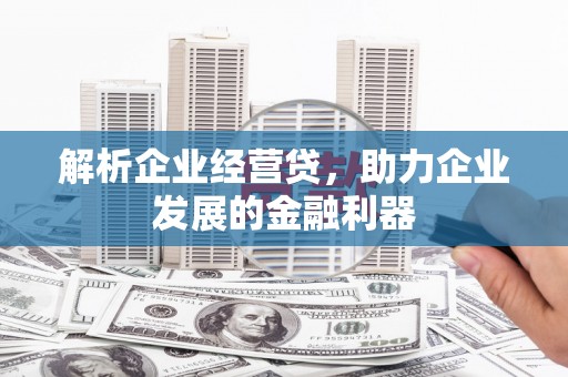 鸡东解析企业经营贷，助力企业发展的金融利器