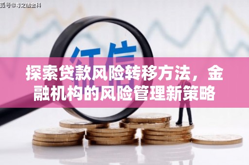 鸡东探索贷款风险转移方法，金融机构的风险管理新策略