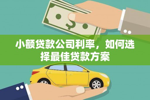 鸡东小额贷款公司利率，如何选择最佳贷款方案