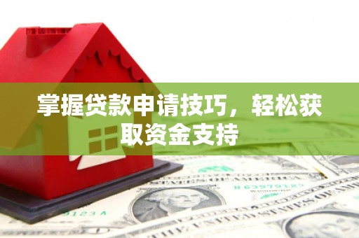 鸡东掌握贷款申请技巧，轻松获取资金支持