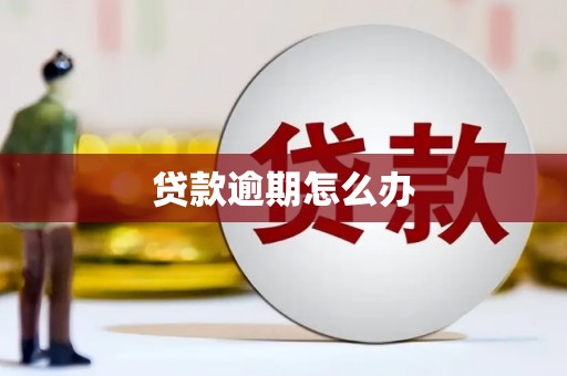 鸡东贷款逾期怎么办