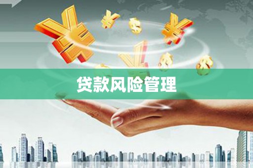鸡东贷款风险管理