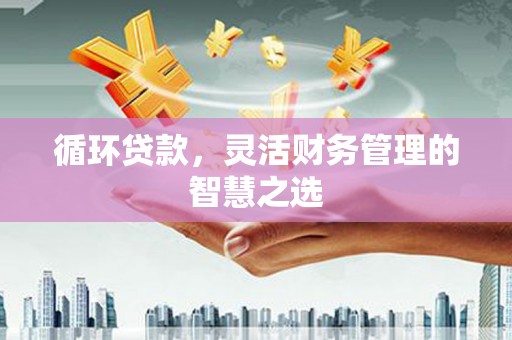 鸡东循环贷款，灵活财务管理的智慧之选