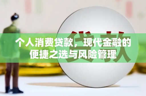 鸡东个人消费贷款，现代金融的便捷之选与风险管理