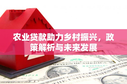 鸡东农业贷款助力乡村振兴，政策解析与未来发展