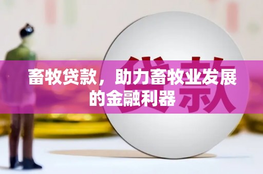 鸡东畜牧贷款，助力畜牧业发展的金融利器