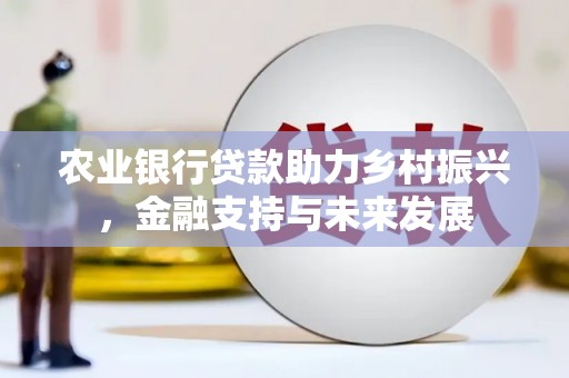 鸡东农业银行贷款助力乡村振兴，金融支持与未来发展