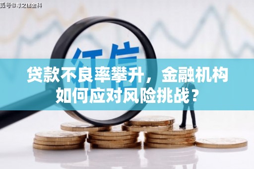 鸡东贷款不良率攀升，金融机构如何应对风险挑战？