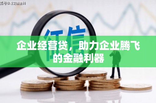 鸡东企业经营贷，助力企业腾飞的金融利器