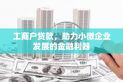 鸡东工商户贷款，助力小微企业发展的金融利器