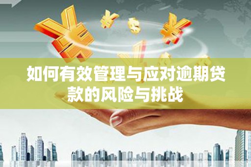 鸡东如何有效管理与应对逾期贷款的风险与挑战