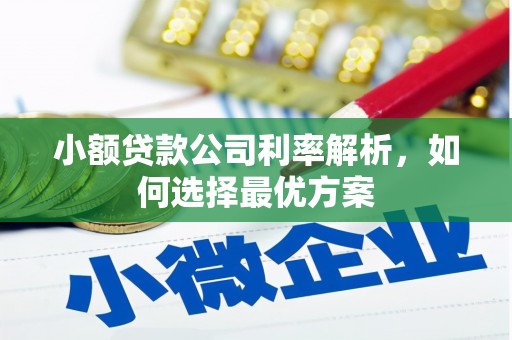 鸡东小额贷款公司利率解析，如何选择最优方案
