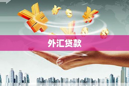 鸡东外汇贷款